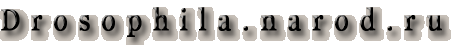 Drosophila.narod.ru
