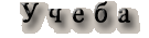 Учёба